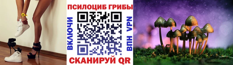 Псилоцибиновые грибы Magic Shrooms  Калининск 